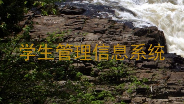 学生管理信息系统