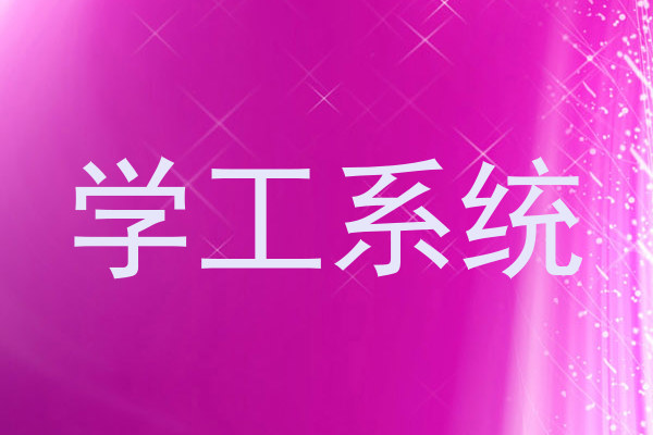 学工系统