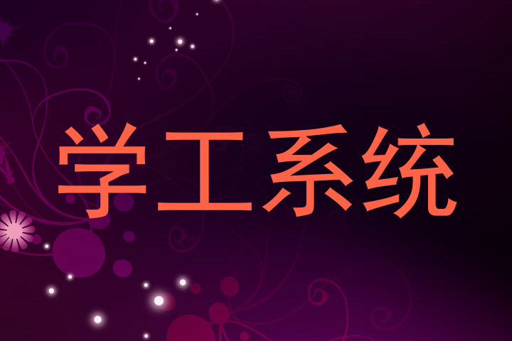 学工系统
