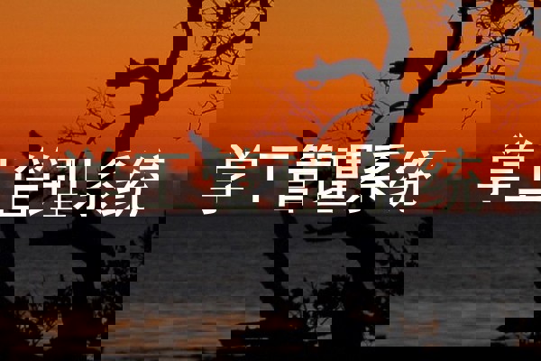 学工管理系统