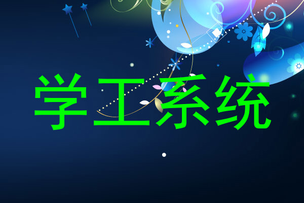 学工系统