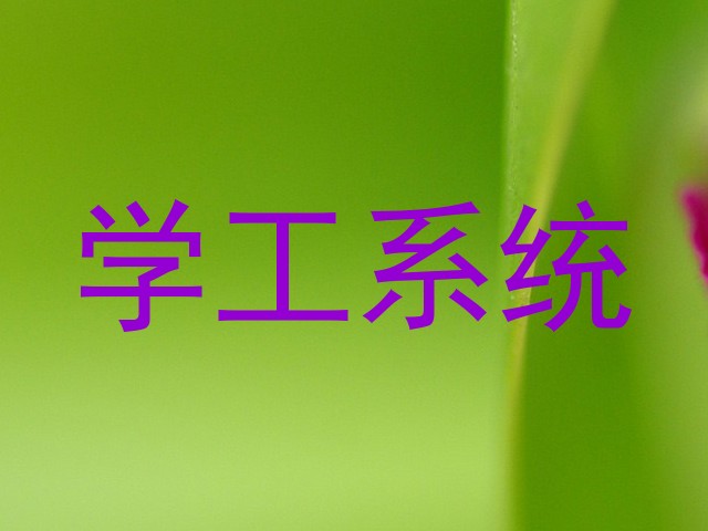 学工系统