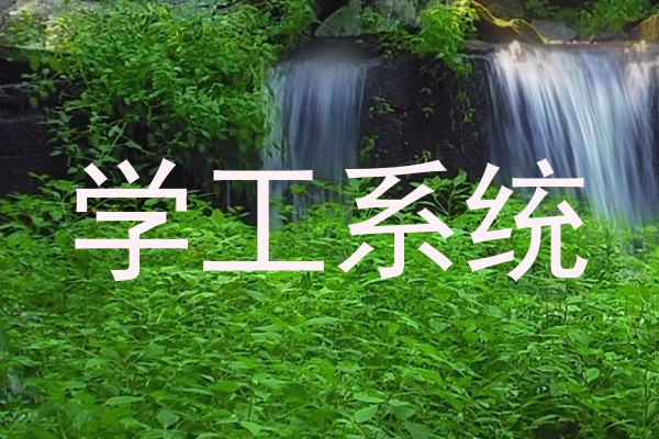 学工系统