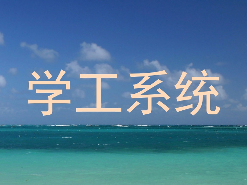 学工系统