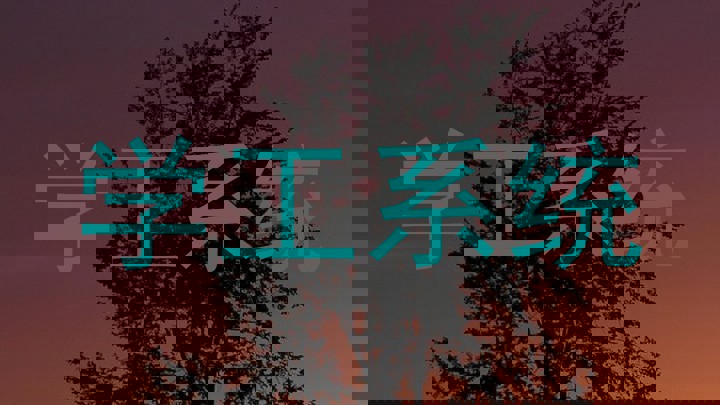 学工系统