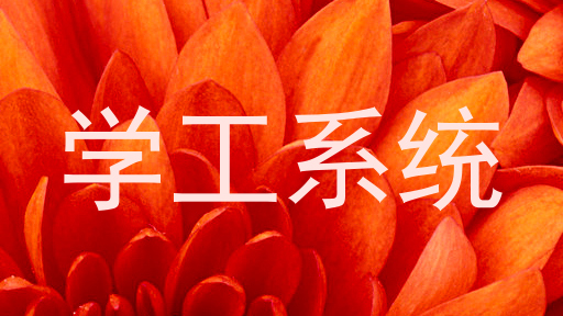 学工系统