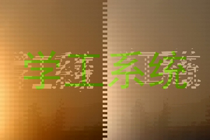 学工系统