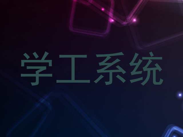 学工系统