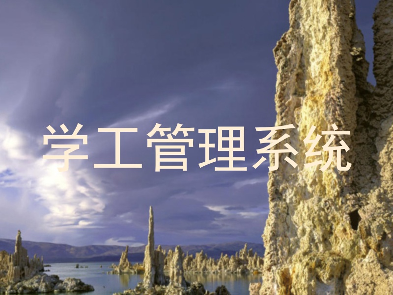 学工管理系统