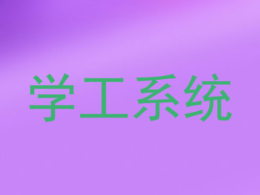 学工系统