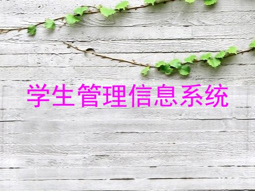 学生管理信息系统