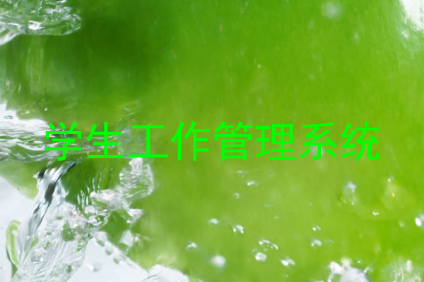 学生工作管理系统