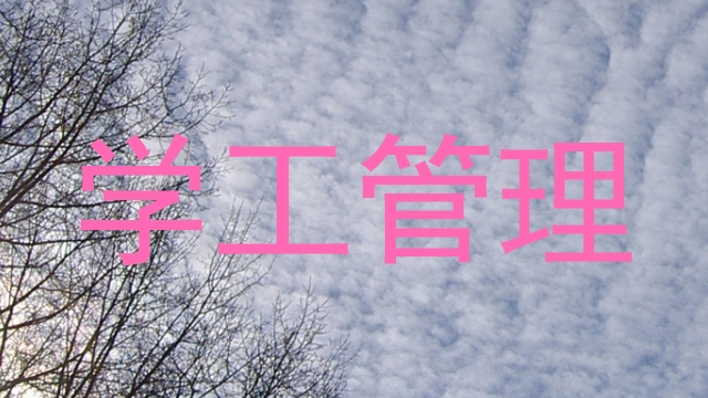 学工管理