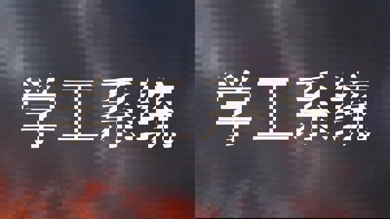 学工系统