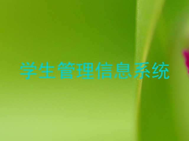 学生管理信息系统