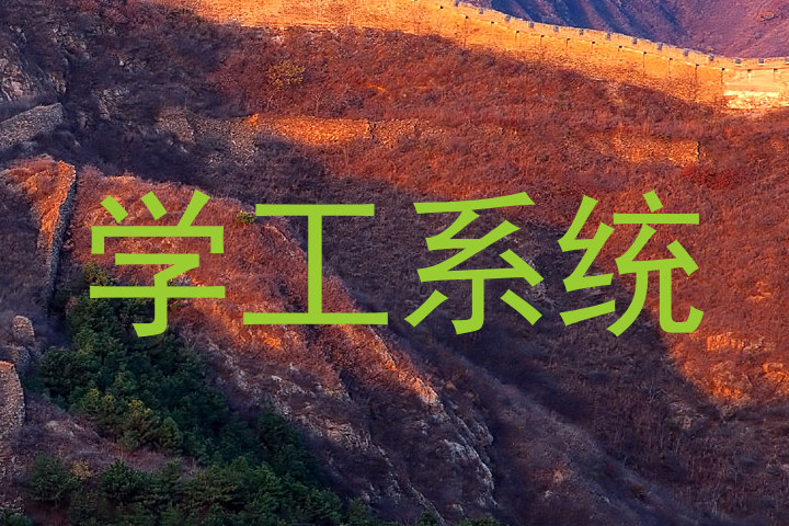 学工系统