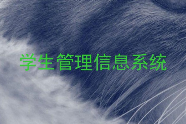 学生管理信息系统