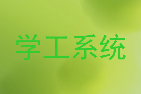 学工系统