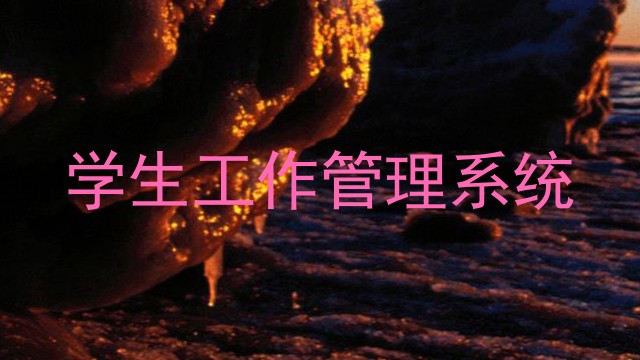 学生工作管理系统