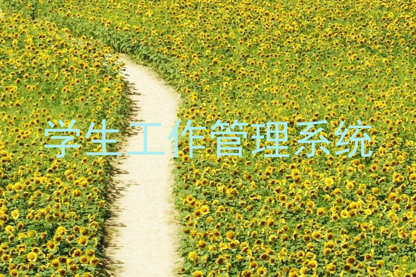 学生工作管理系统