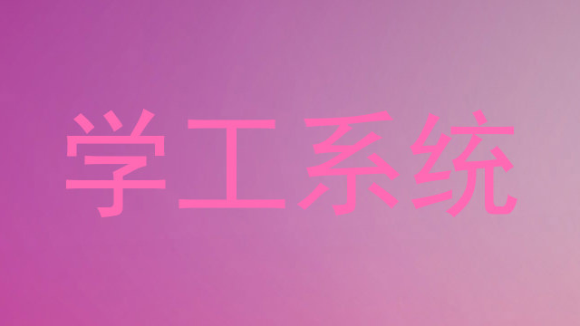 学工系统