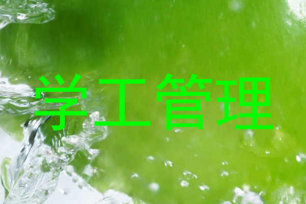 学工管理