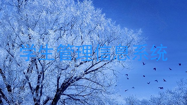 学生管理信息系统