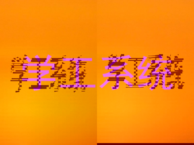 学工系统