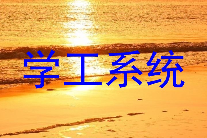 学工系统