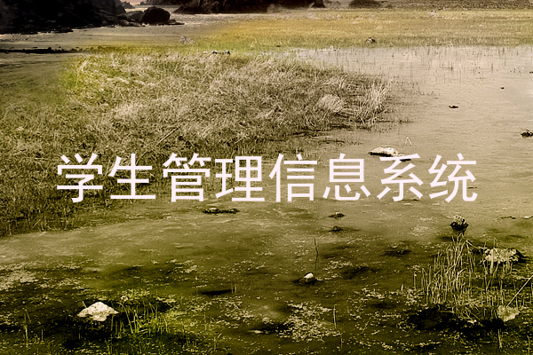 学生管理信息系统