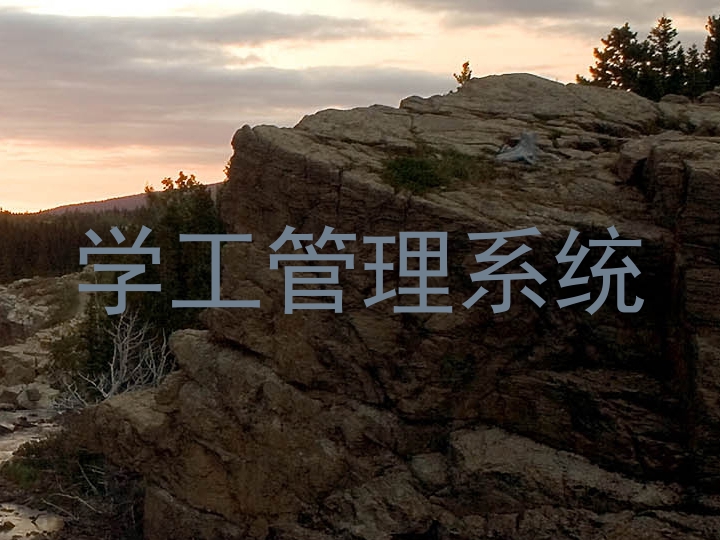 学工管理系统