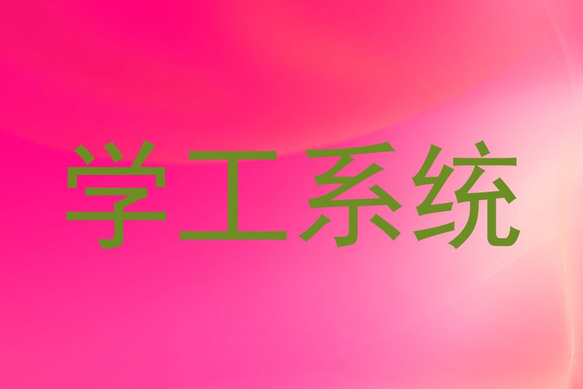 学工系统
