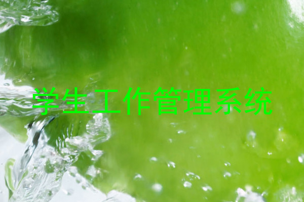 学生工作管理系统