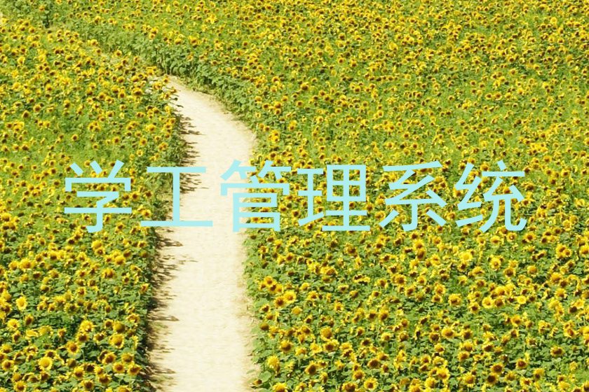 学工管理系统