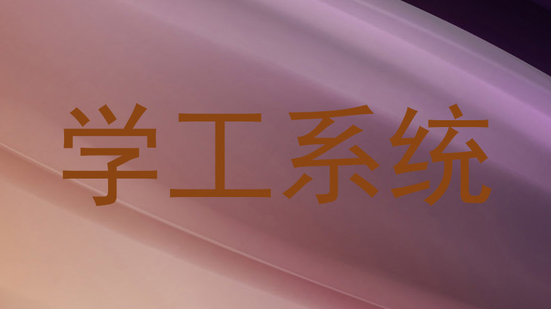 学工系统