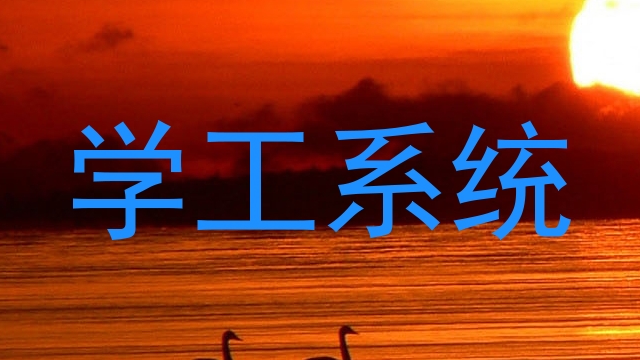 学工系统