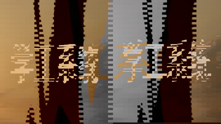 学工系统