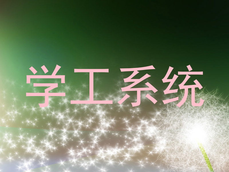 学工系统