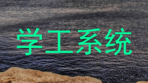 学工系统