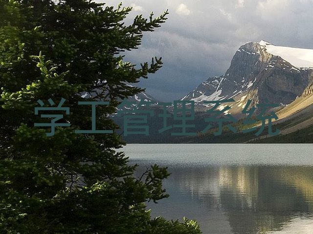 学工管理系统