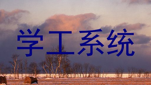 学工系统