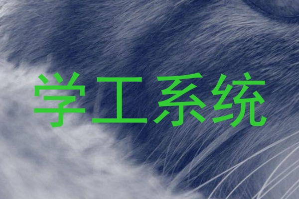 学工系统