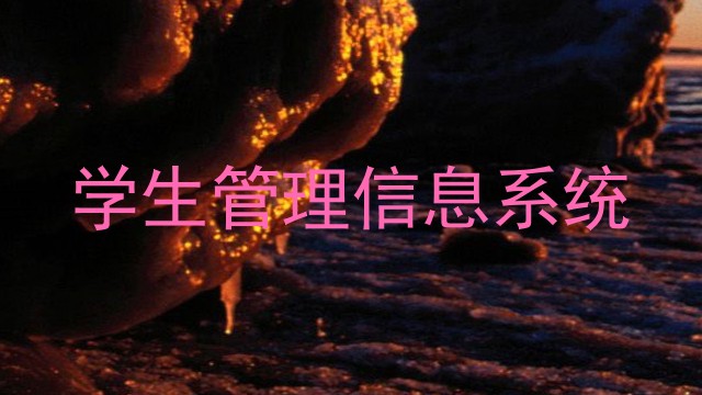 学生管理信息系统
