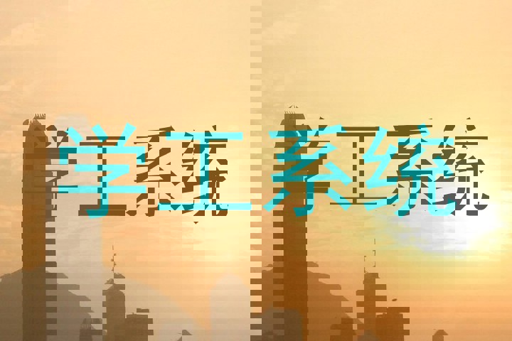 学工系统