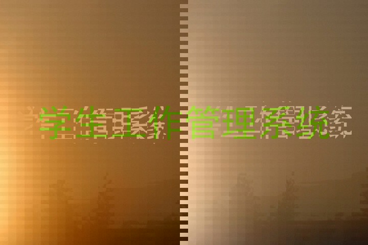 学生工作管理系统