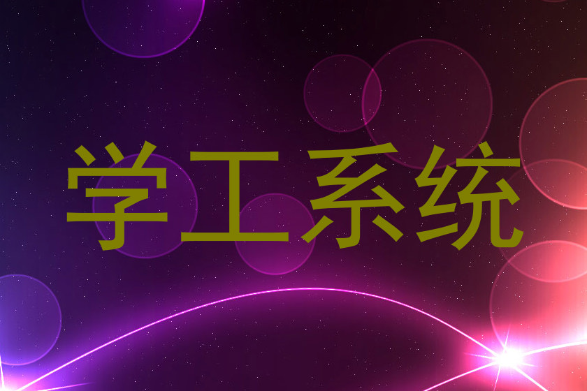 学工系统