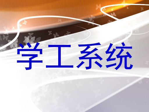 学工系统
