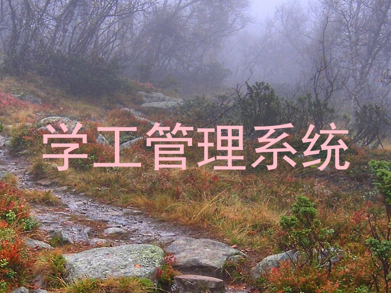 学工管理系统