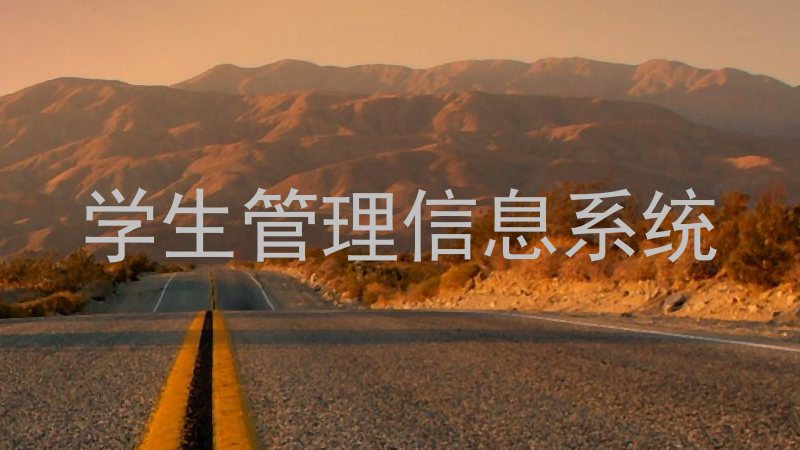 学生管理信息系统
