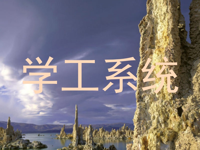 学工系统